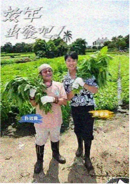 一起去看海吧综艺海报